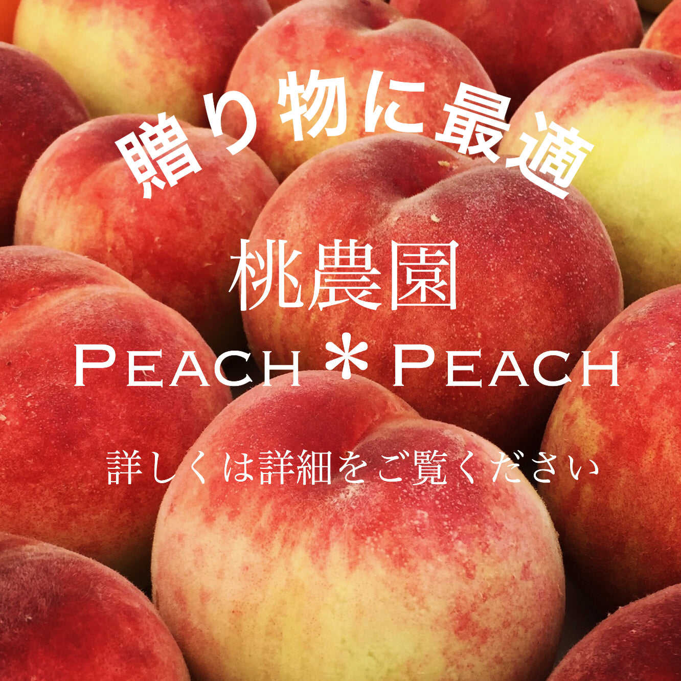 桃　山梨の桃　家庭用　5kg箱2枚 桃 山梨の桃 家庭用 5kg箱2枚